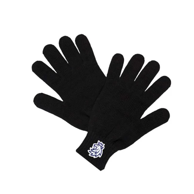Gloves black CH Czech Hockey