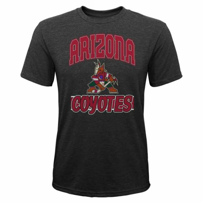 Kid's t-shirt ARI All Time SS Triblend Arizona Coyotes